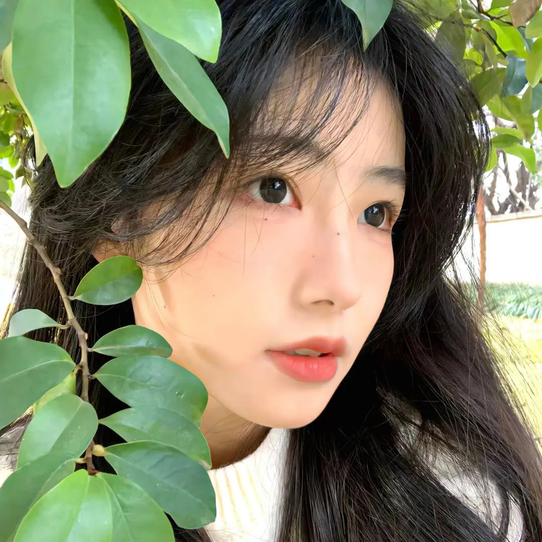 星灵感应真人版